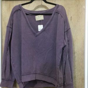 NWT We the Free V-neck sweat shirt color is called mushroom over sized size M